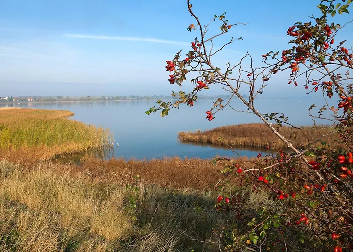 Ostseeoase * Poel